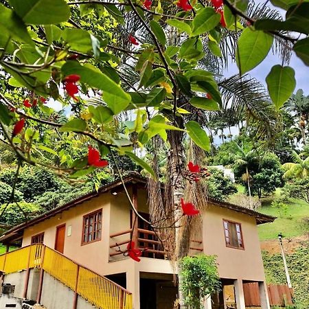 Hotel Sitio Dos Palmitos - Casa Pupunha Pedra Azul  Exteriér fotografie