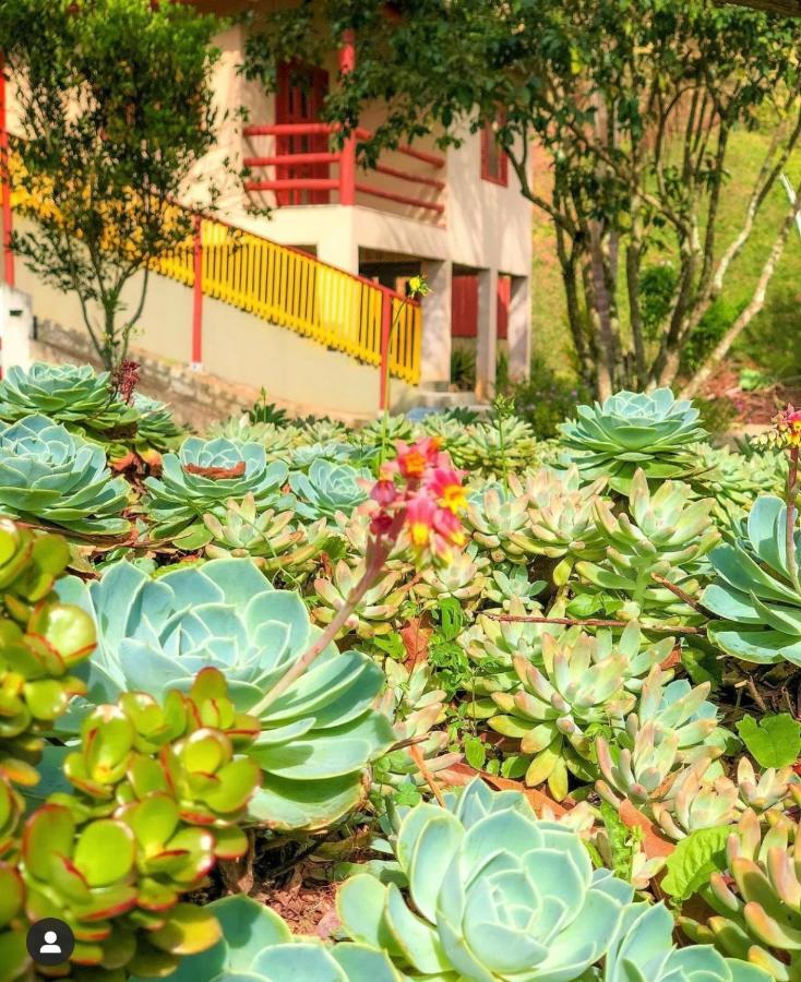 Hotel Sitio Dos Palmitos - Casa Pupunha Pedra Azul  Exteriér fotografie